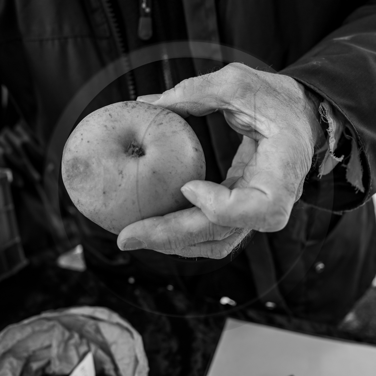 05 novembre 2022 : des pommes et des soupes