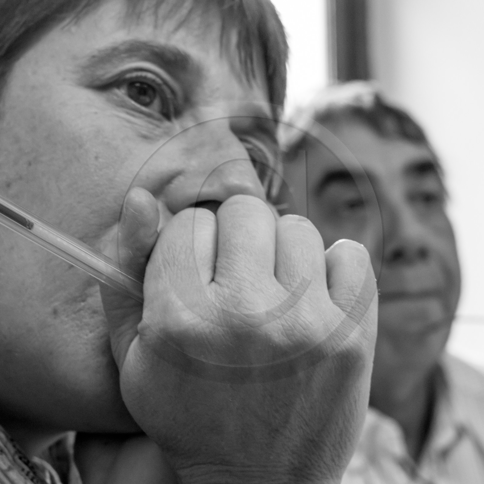 L'Ouort de Bénévent - 27 janvier 2017 L'Ouort de Bénévent - 27 janvier 2017