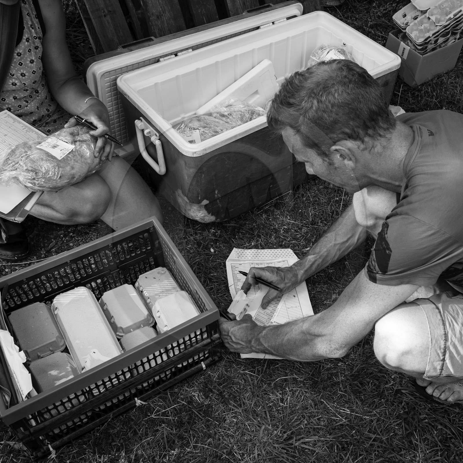 Distribution à l'AMAP du Champsaur Distribution à l'AMAP du Champsaur