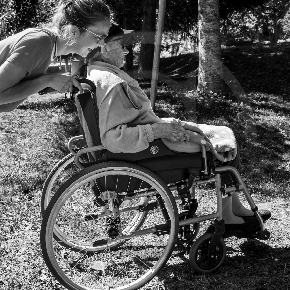 29 juin 2022 : Découverte des plantes sauvages 29 juin 2022 : Découverte des plantes sauvages