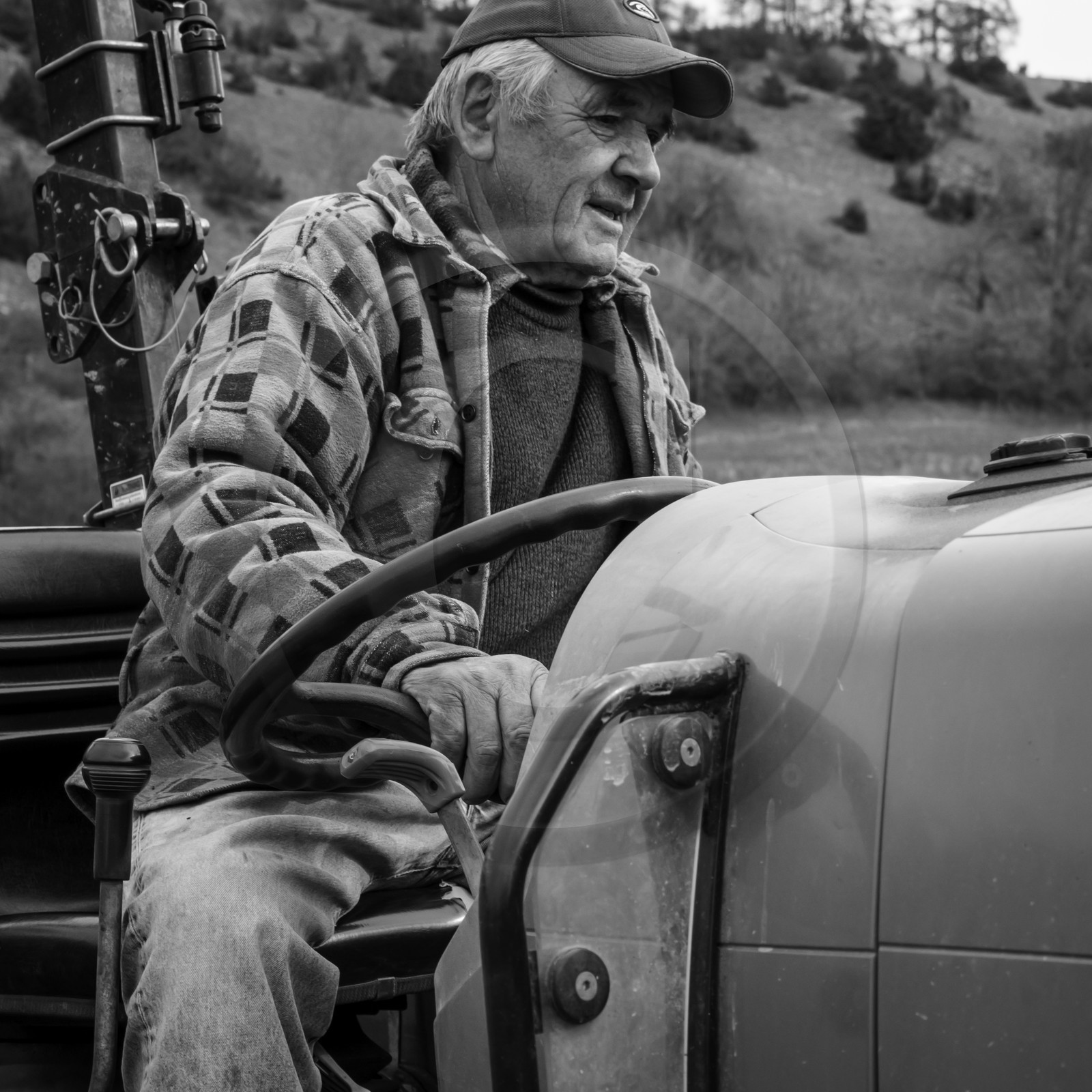 La plantation des pommes de terre