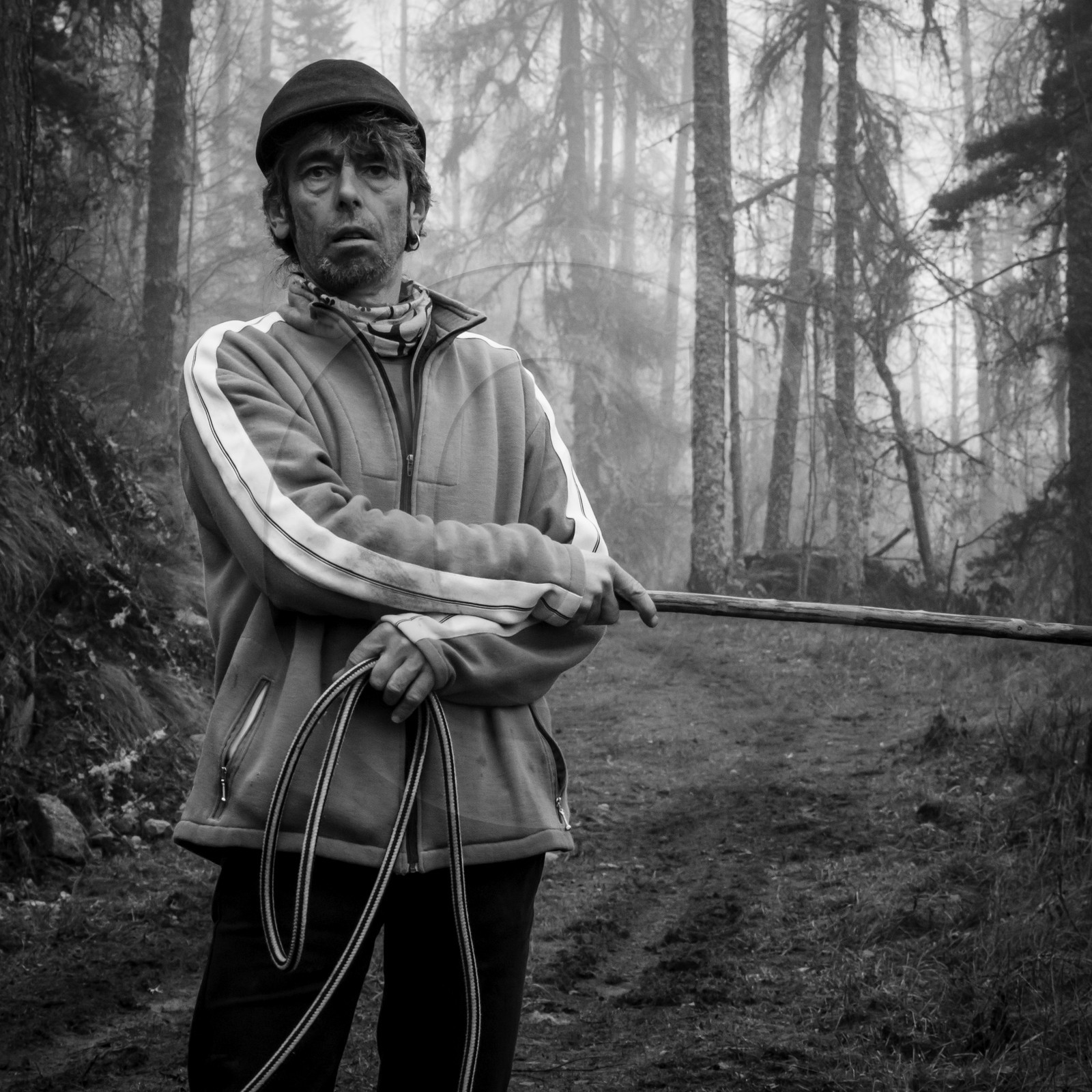 La transhumance des ânes