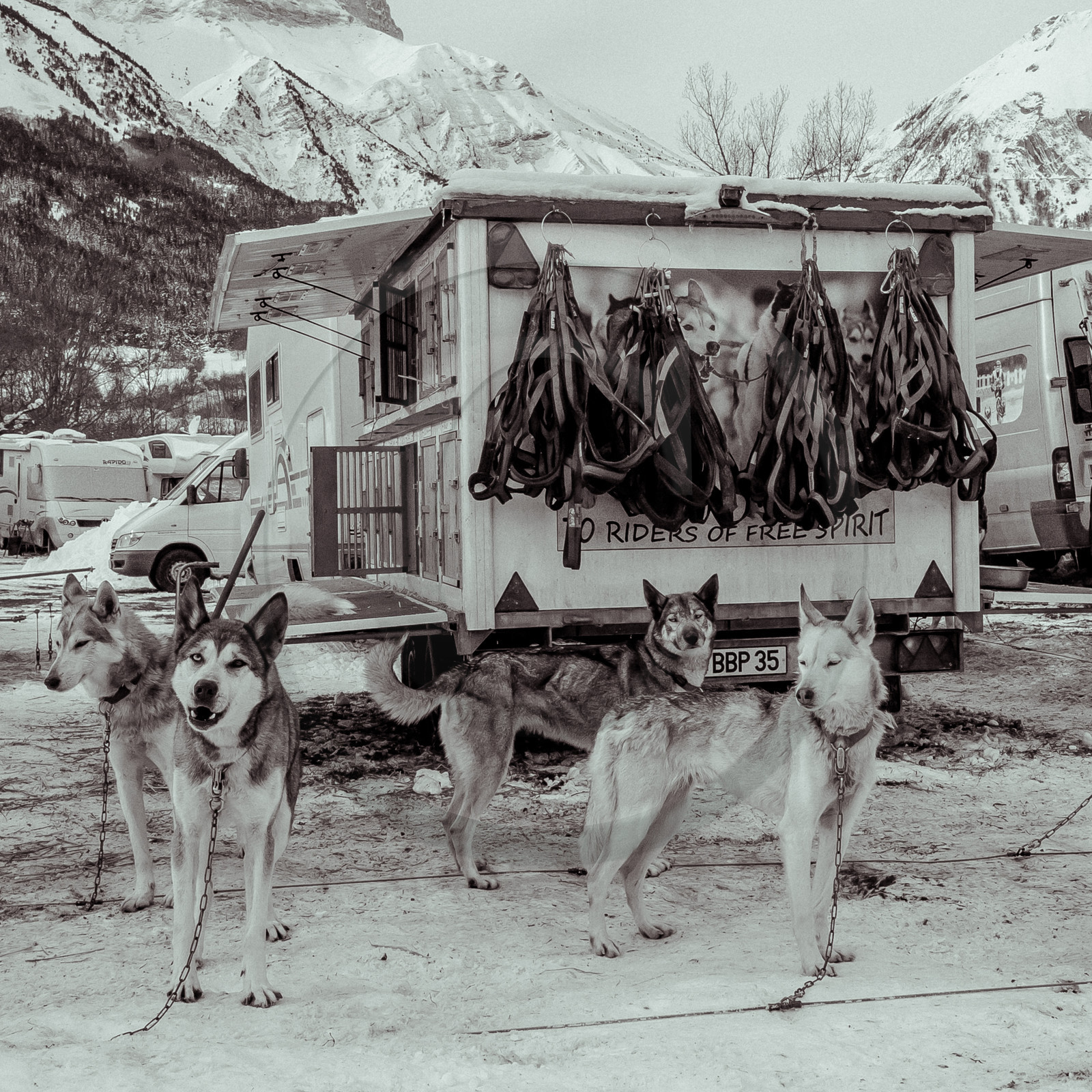 La Valgaude Traineau 2015