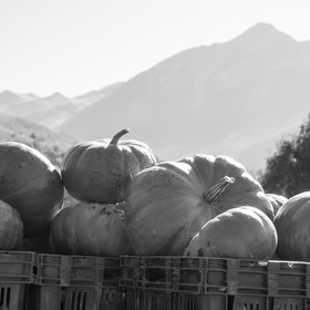 dlebioda-03102016-L1174024.jpg