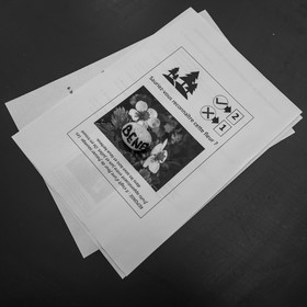 12 juin 2024 : création d'un jeu et jardinage