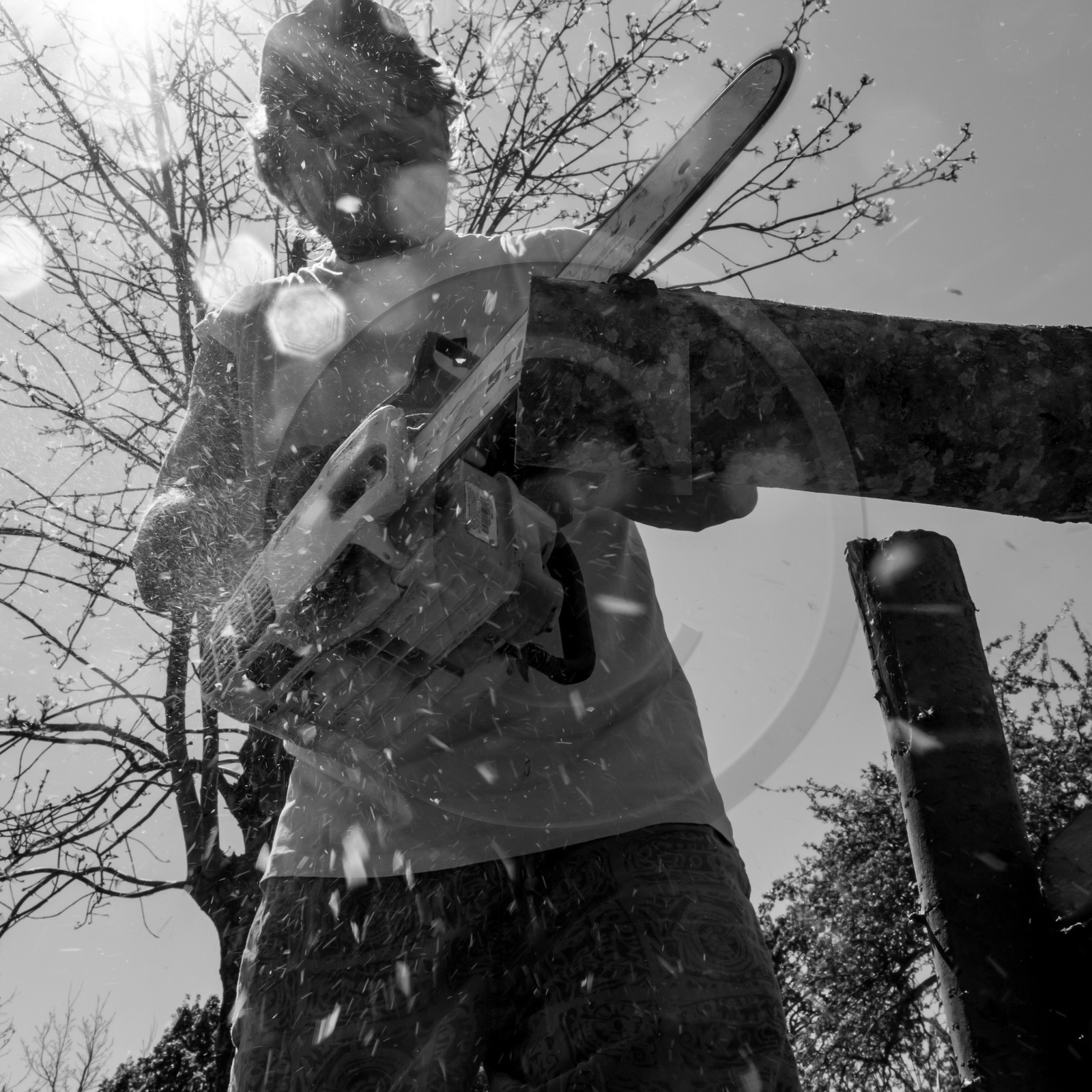 31 mai 2017 - Jardinage 31 mai 2017 - Jardinage