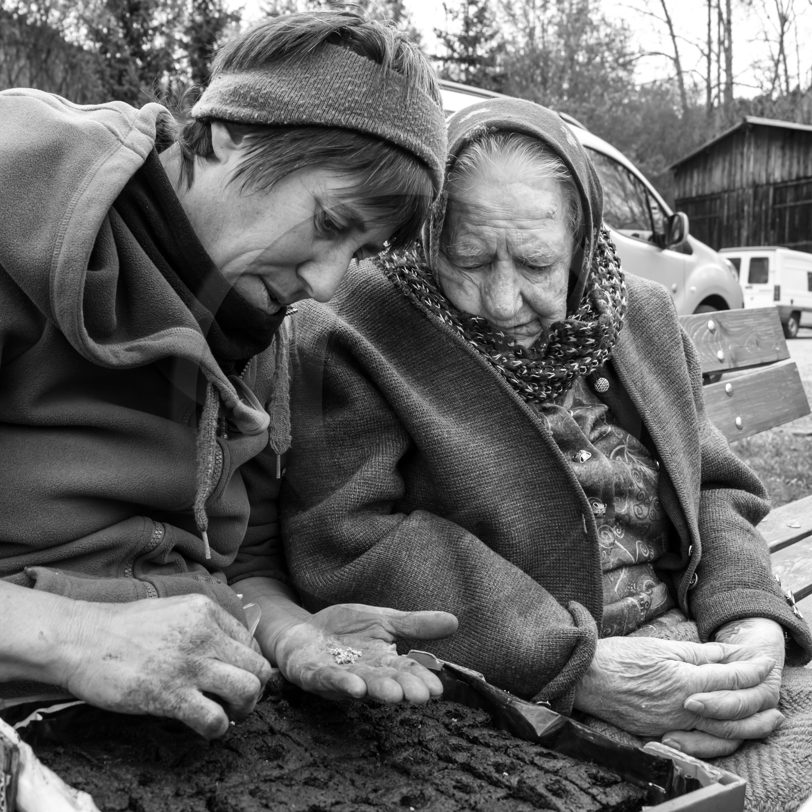 03 mai 2017 - Bac, semis et plantations 03 mai 2017 - Bac, semis et plantations