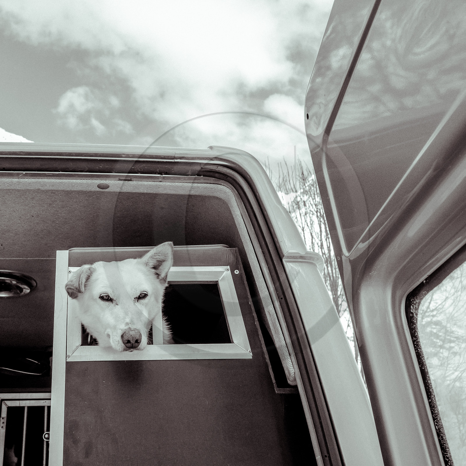 La Valgaude Traineau 2015