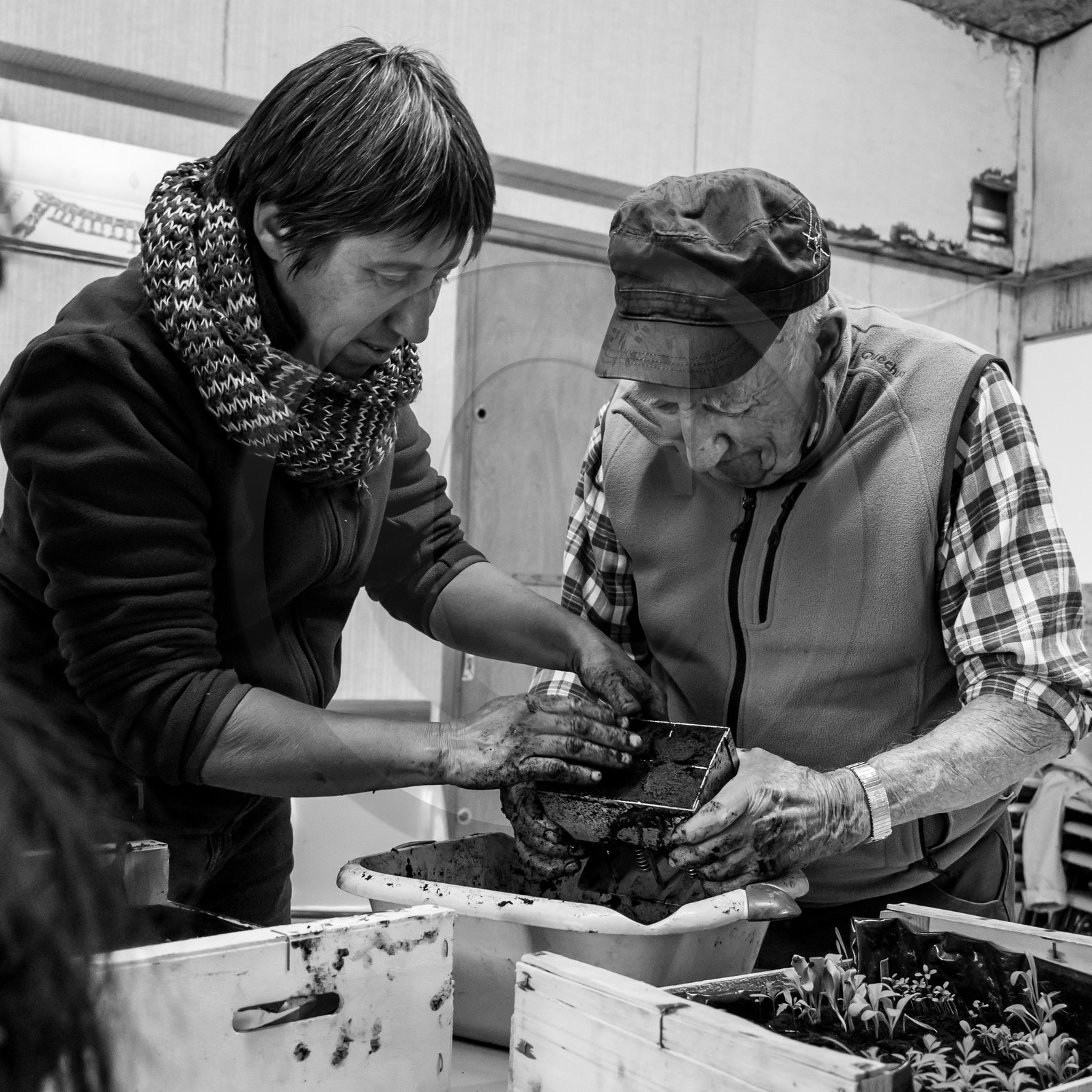 Atelier repiquage et semis - 26 04 2017