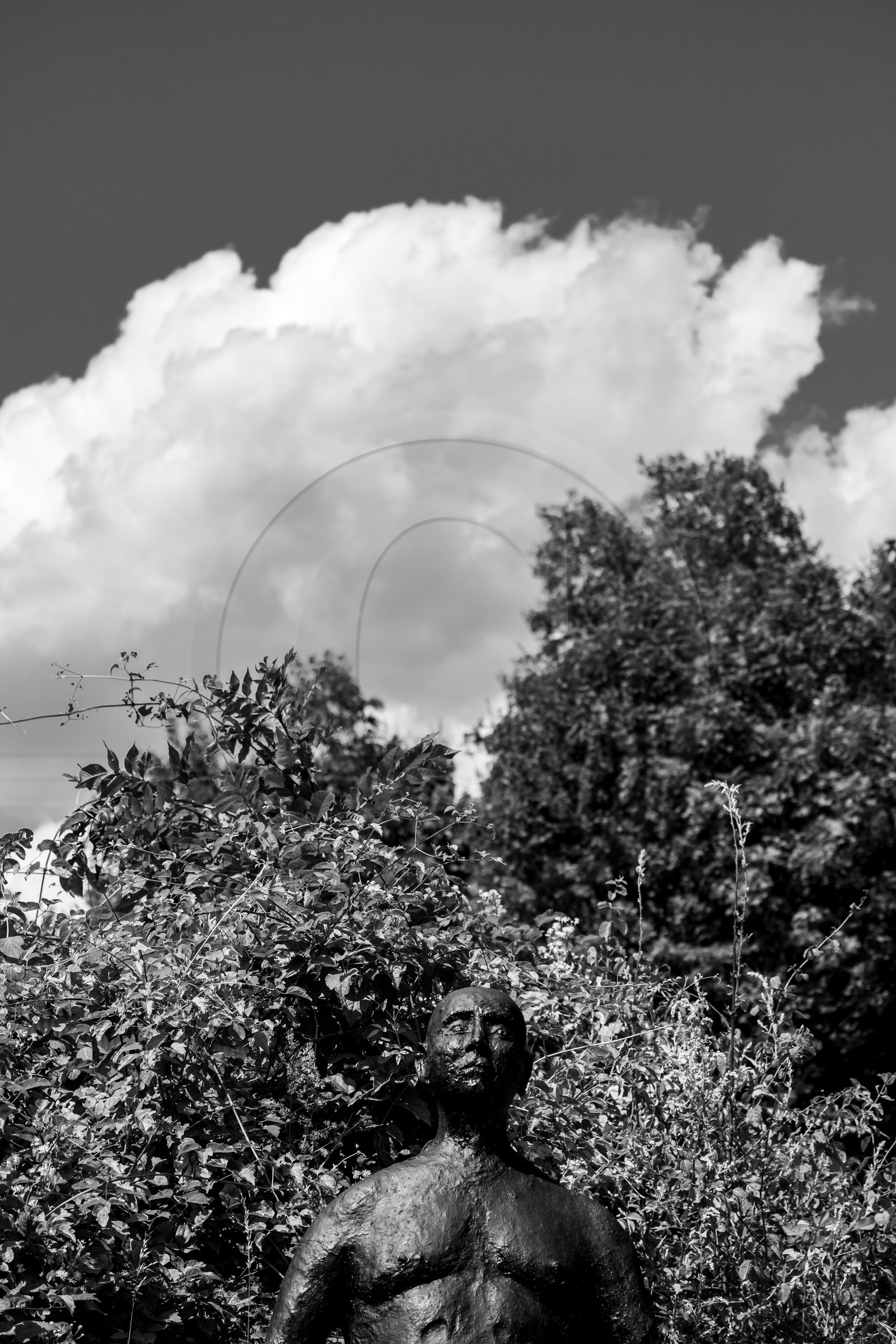 Exposition La forêt d'hommes, une création de Barbara Fougnon, artiste plasticienne Exposition La forêt d'hommes, une création de Barbara Fougnon, artiste plasticienne