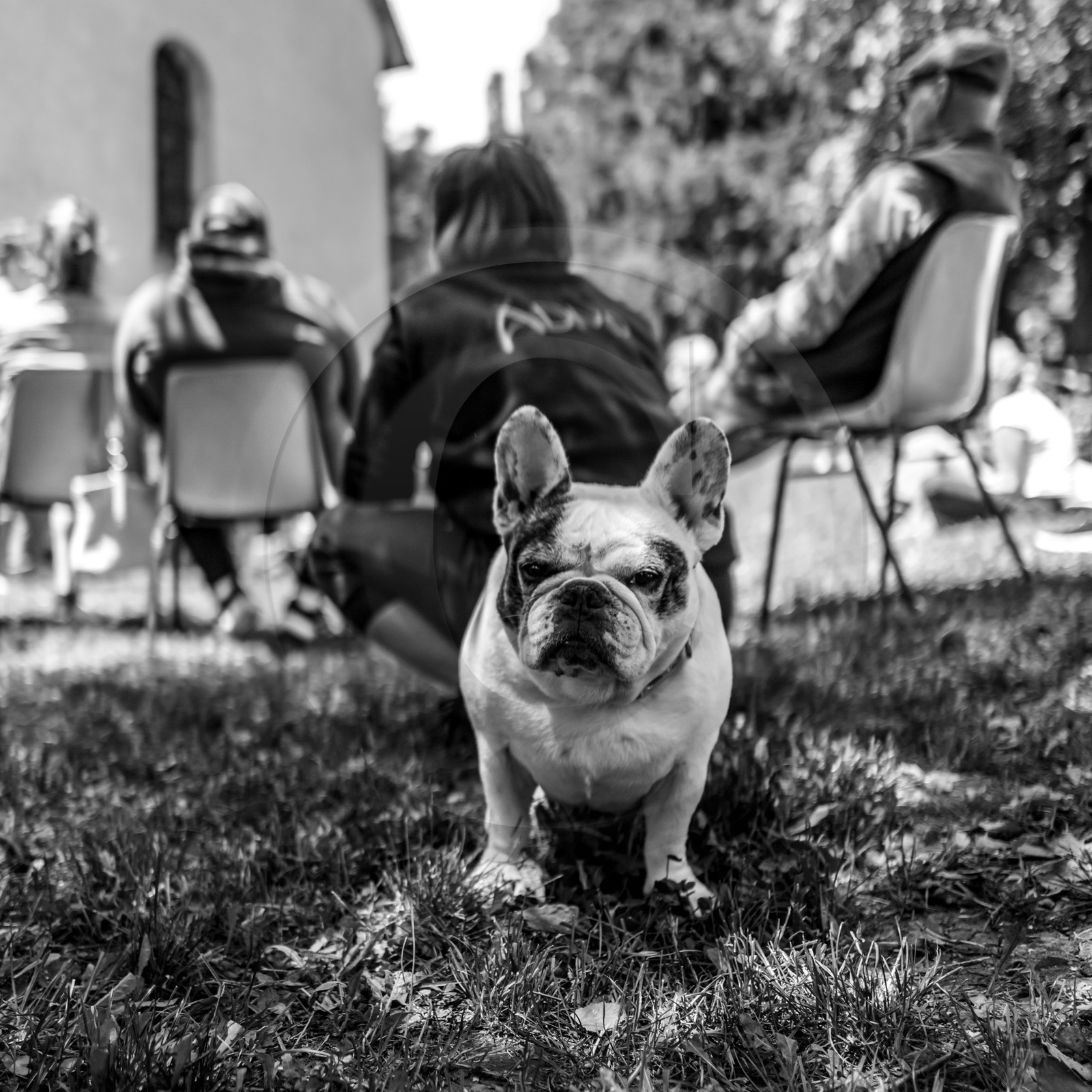 03 juillet 2024 : Création participative de L'homme de l'Ouort avec Barbara Fougnon, artiste plasticienne 03 juillet 2024 : Création participative de L'homme de l'Ouort avec Barbara Fougnon, artiste plasticienne