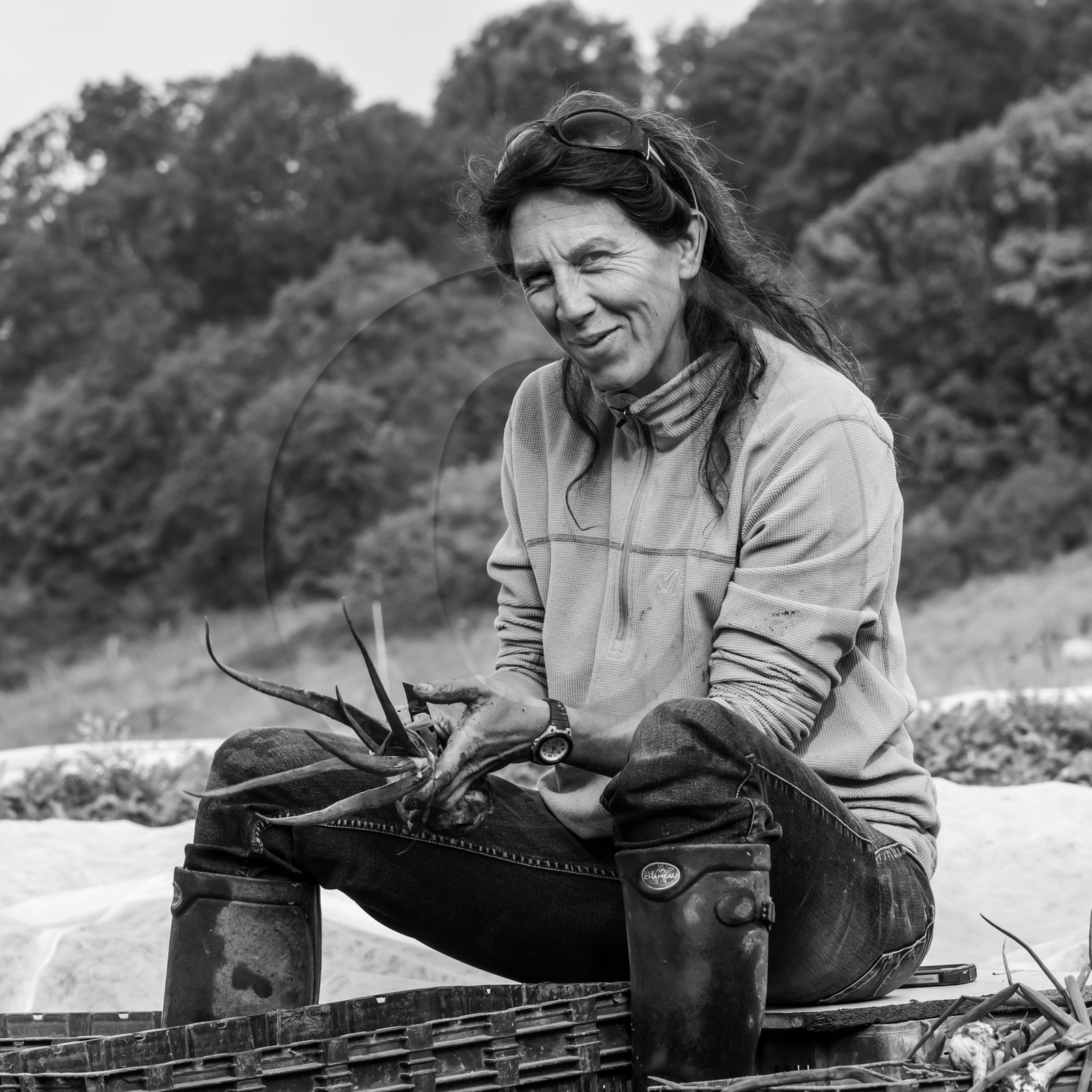 Maraichage biologique dans le Champsaur