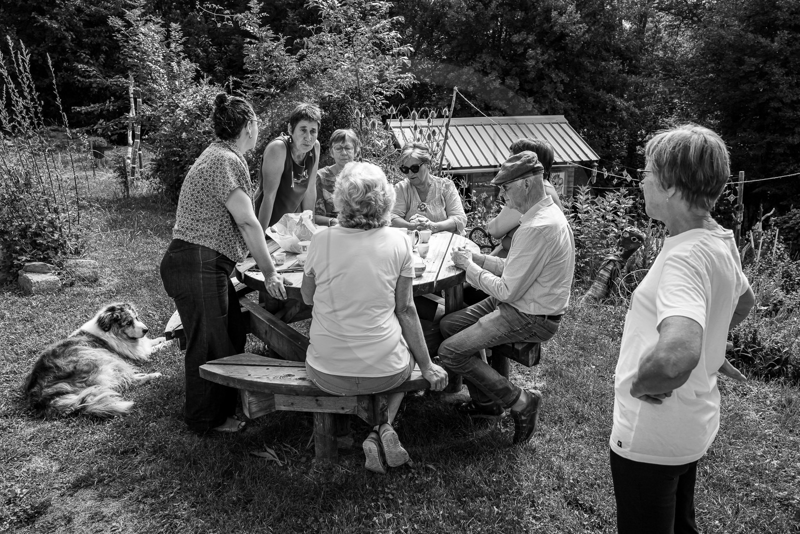 17 juillet 2023 : Journée des aidants et des aidés 17 juillet 2023 : Journée des aidants et des aidés