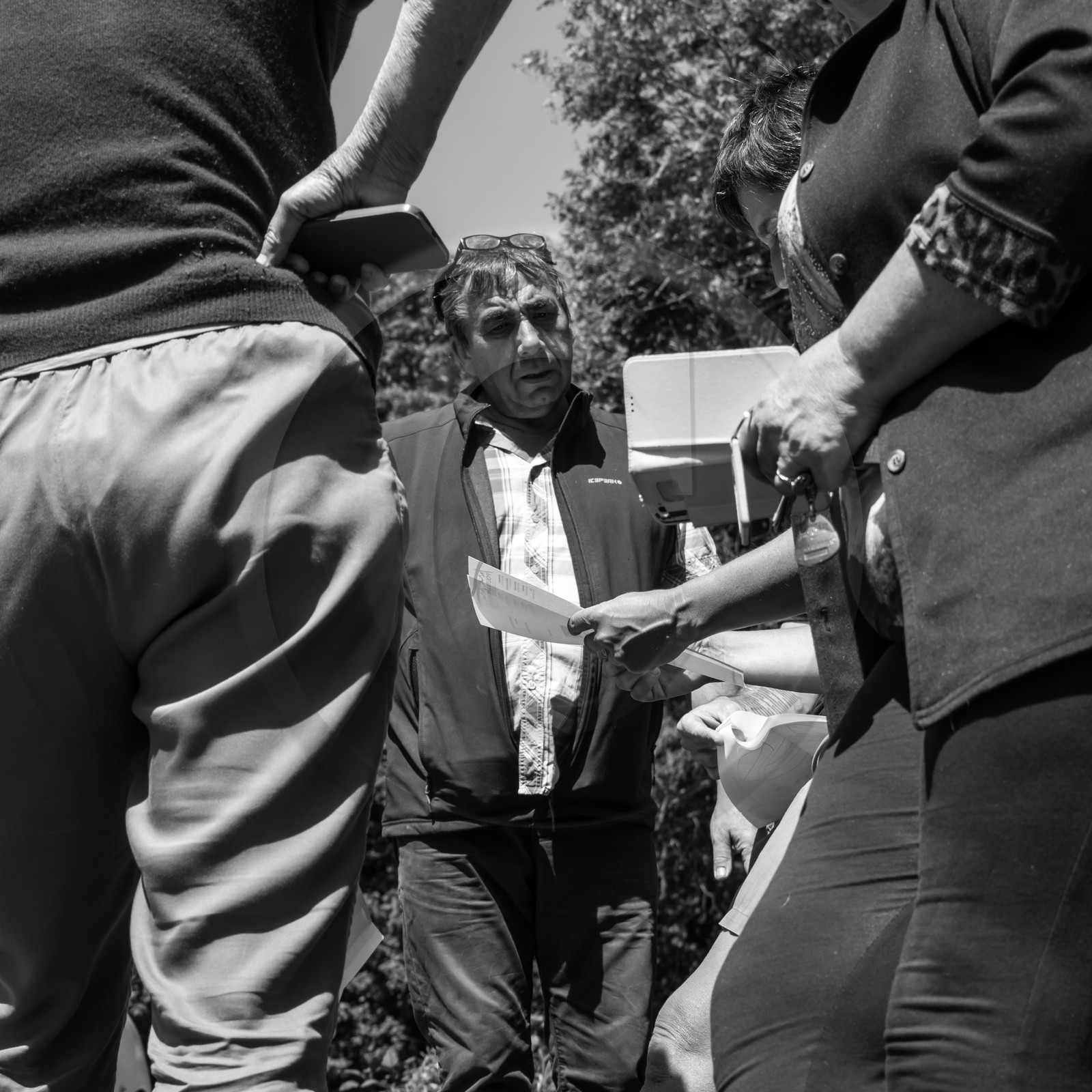 07 juin 2017 - Plantation - Haie - Réunion 07 juin 2017 - Plantation - Haie - Réunion