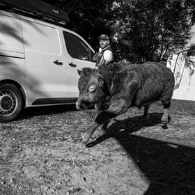 Rencontres paysannes à Saint-Bonnet en Champsaur