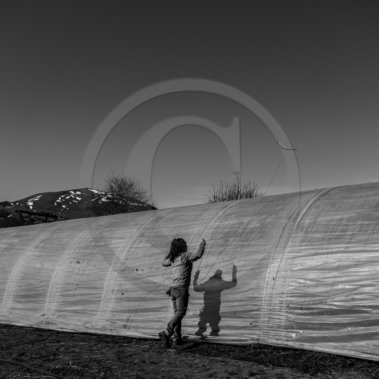 Montage de serres tunnel Montage de serres tunnel
