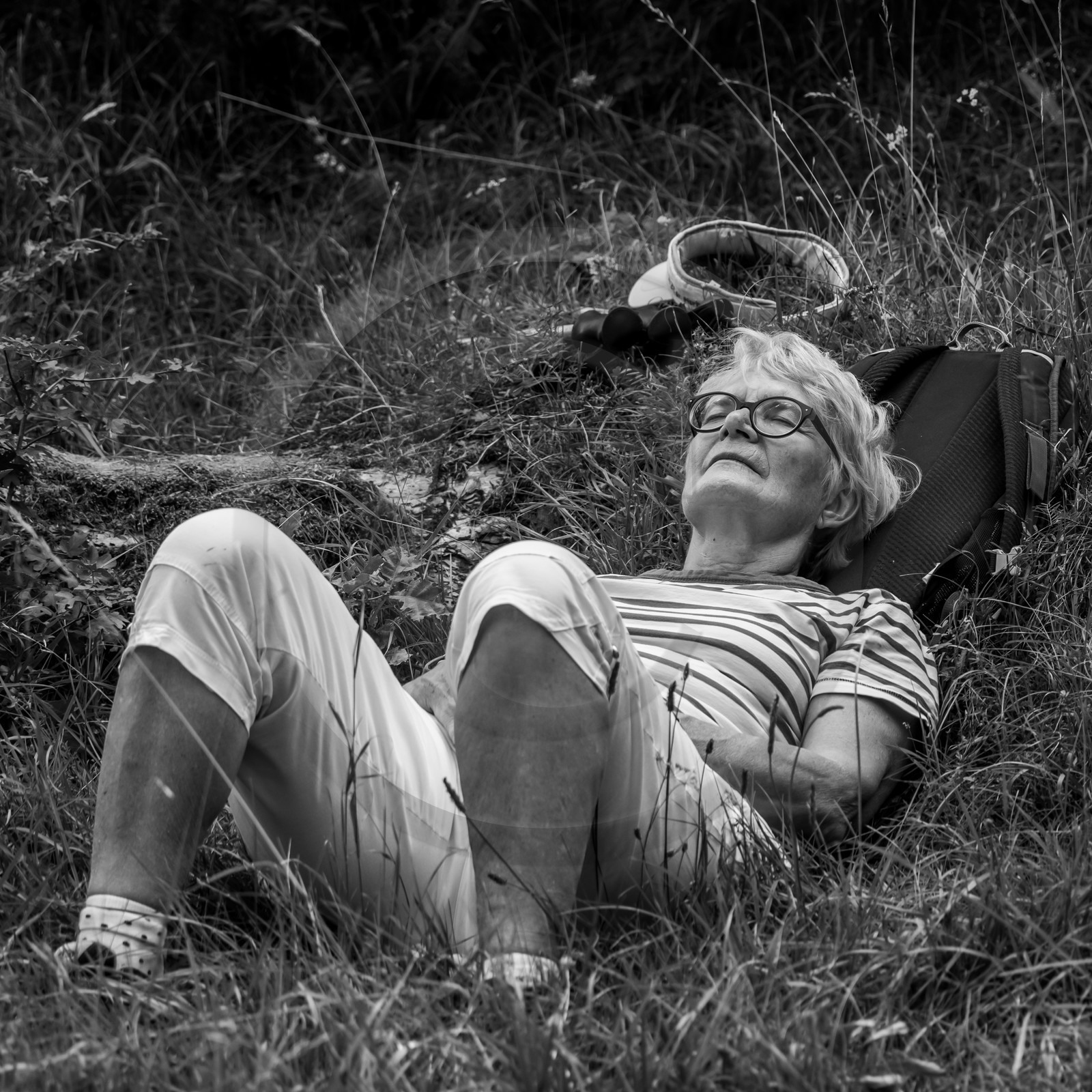 Arpenter le paysage avec Martin de la Soudière Arpenter le paysage avec Martin de la Soudière