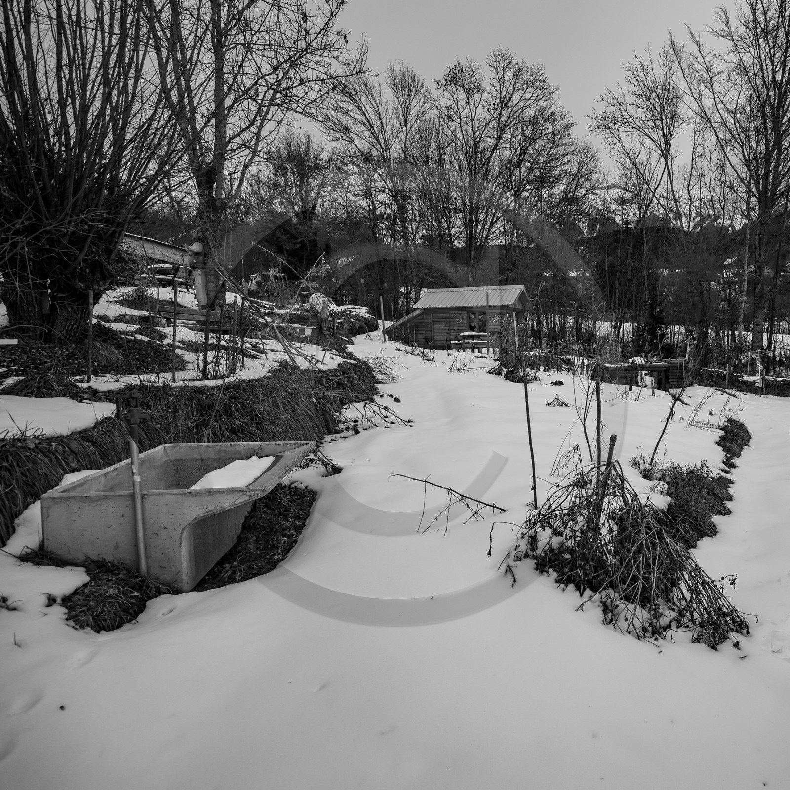 21 janvier 2021 : l'Ouort sous la neige