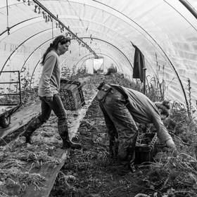 Maraichage biologique dans le Champsaur