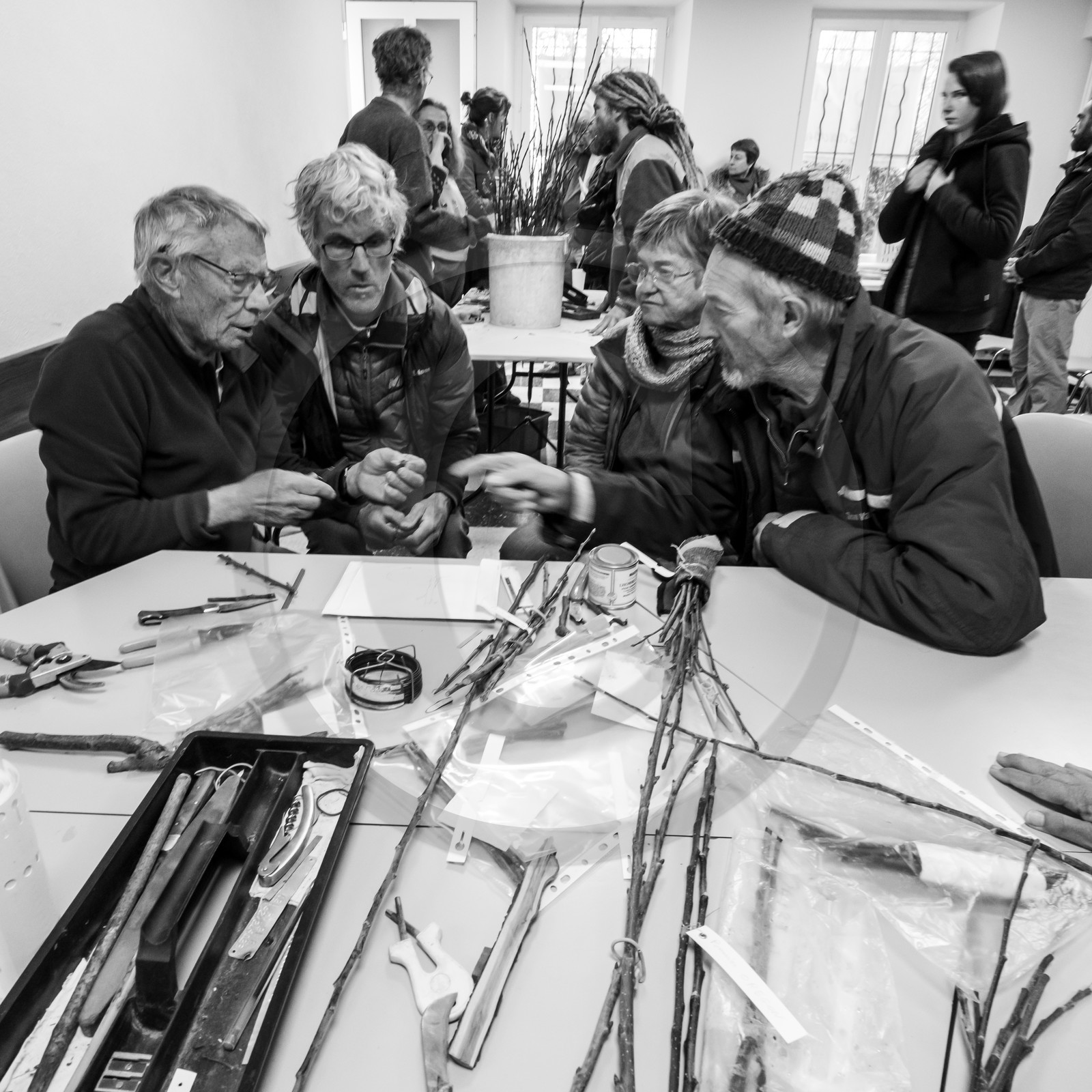 03 avril 2019 : Initiation à la greffe d'arbres fruitiers