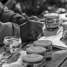 24 octobre 2021 : Fais ta soupe et ramène ta pomme