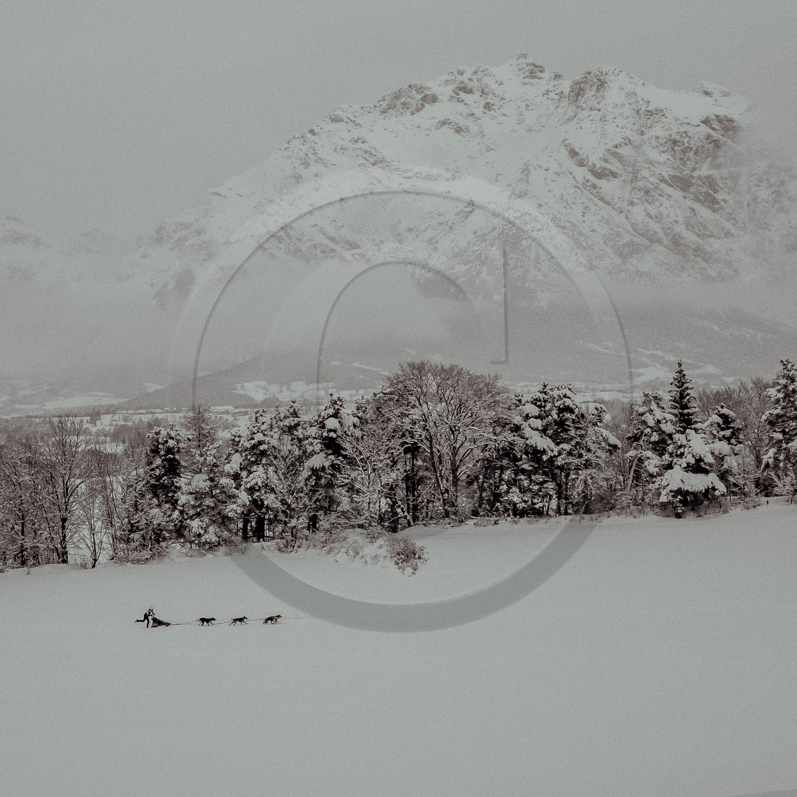 La Valgaude Traineau 2015 La Valgaude Traineau 2015