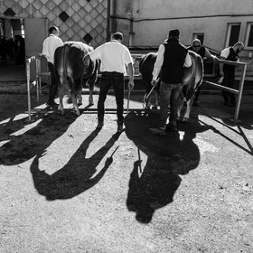 Rencontres paysannes à Saint-Bonnet en Champsaur