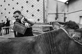 Rencontres paysannes à Saint-Bonnet en Champsaur