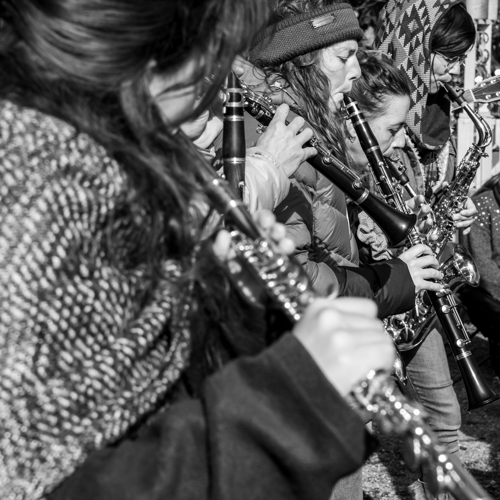 26 octobre 2025 : Les oiseaux de trottoir