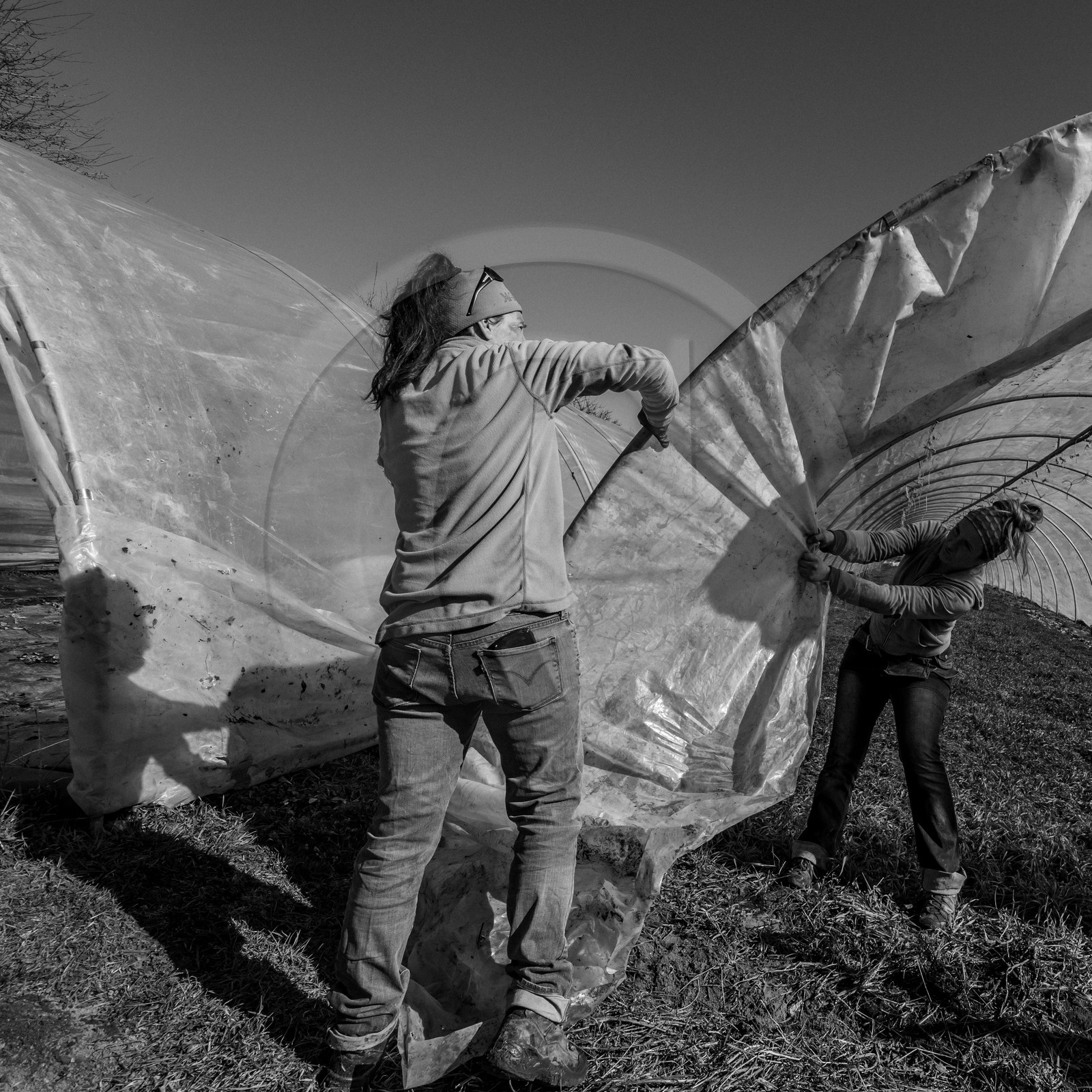 Montage de serres tunnel Montage de serres tunnel
