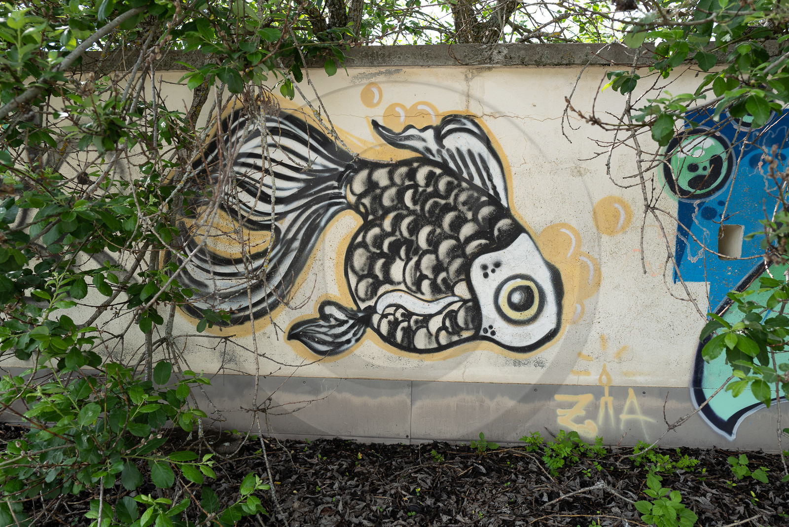 La Piscine de St Léger les Mélèzes La Piscine de St Léger les Mélèzes