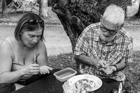 Le Noyer, village champsaurin