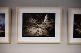 Automne photographique en Champsaur 2019 - Henri Bosco