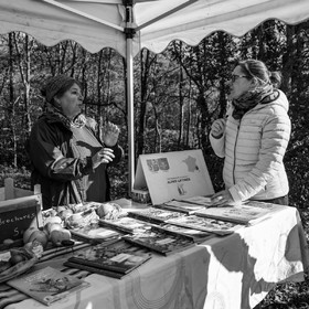 05 novembre 2022 : des pommes et des soupes