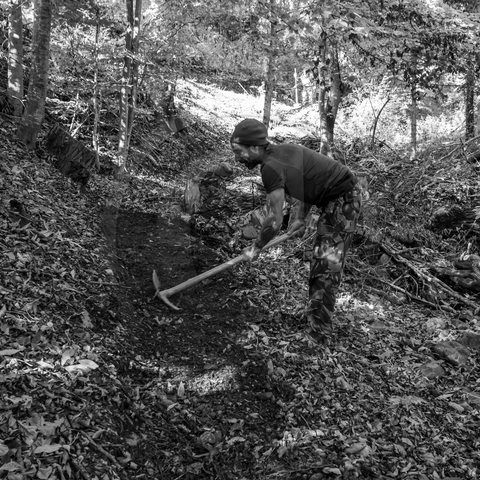 27 octobre 2021 : Un sentier et une réunion