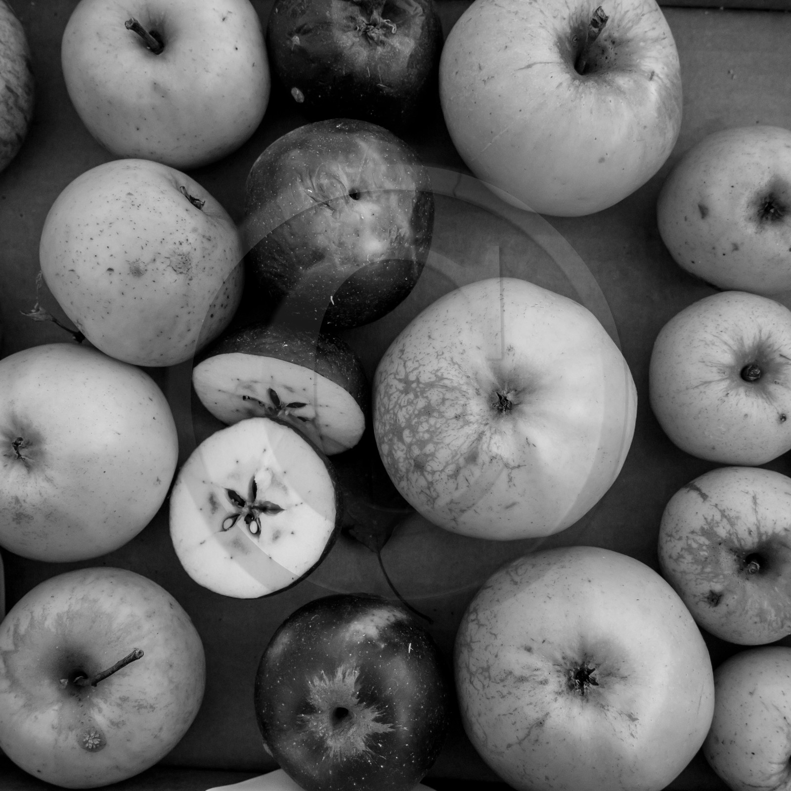Ramène ta pomme