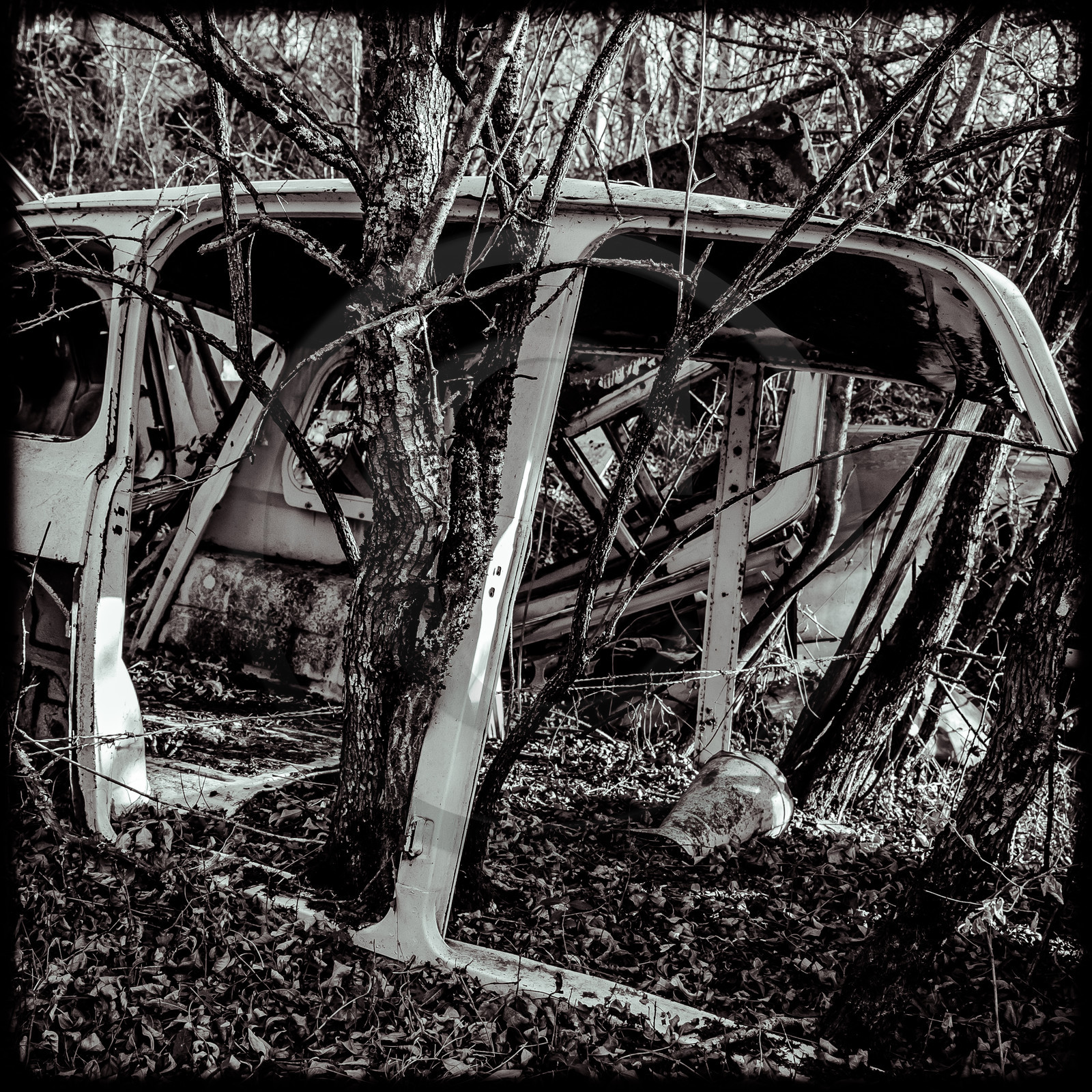 Un cimetière de voitures