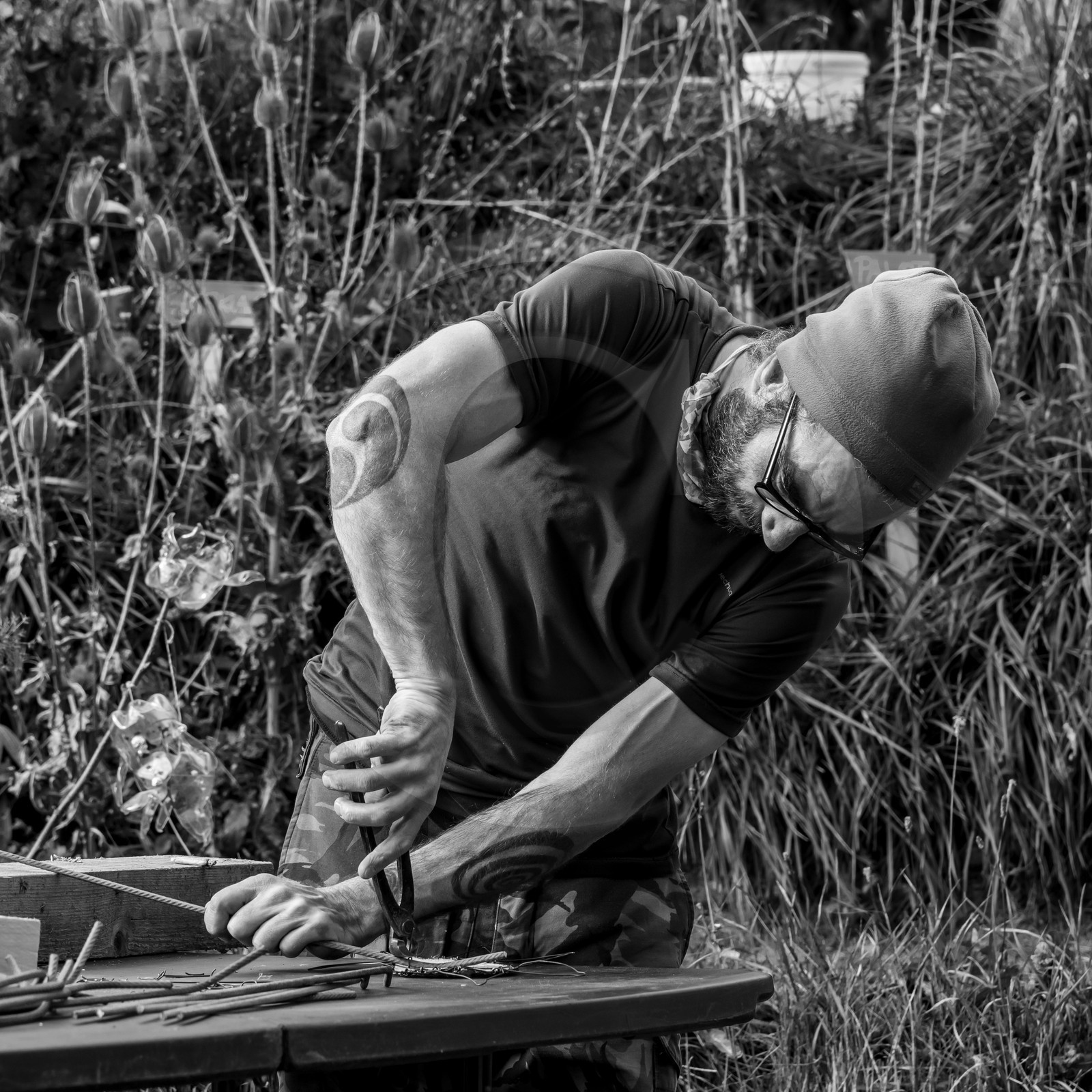 Semis, tournesols et jeux Semis, tournesols et jeux