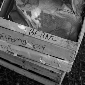 La cantine de Bernie