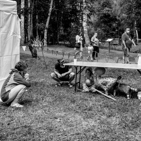 Festival l'Echo des mots