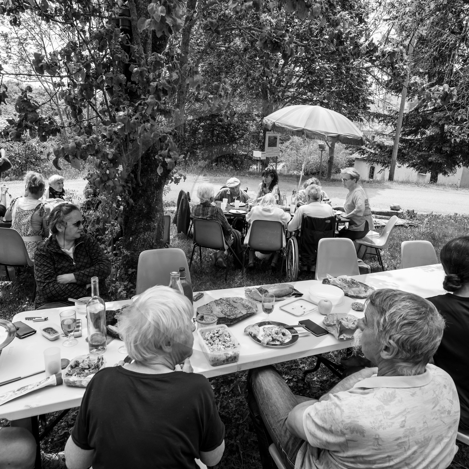05 juin 2019 : Studio photo et promenade au jardin