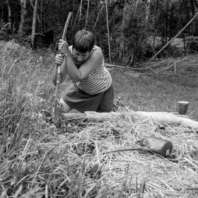 31 mai 2017 - Jardinage