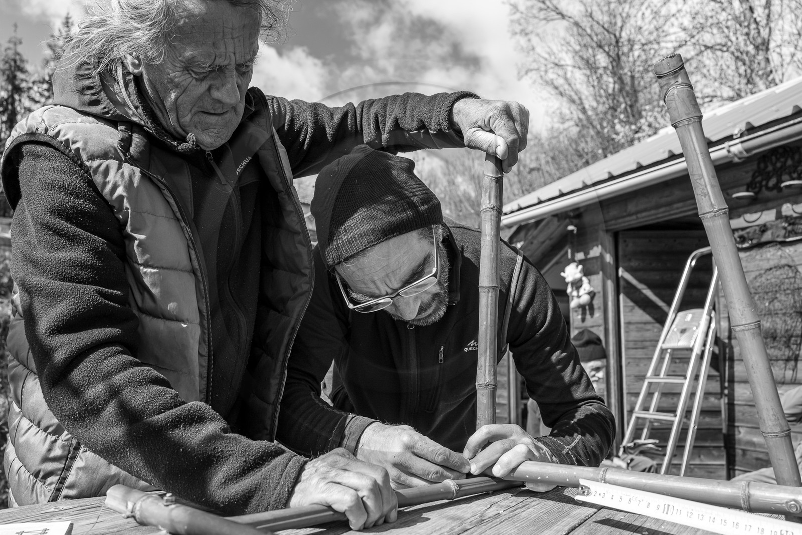 10 avril 2024 : Osier, laine et taille 10 avril 2024 : Osier, laine et taille