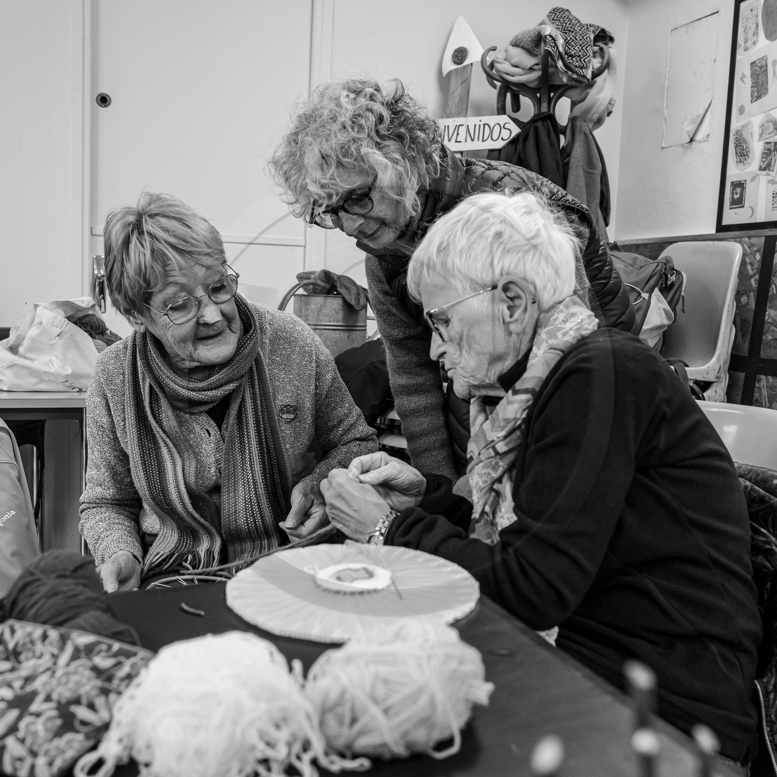 10 avril 2024 : Osier, laine et taille