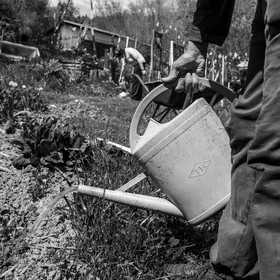30 avril 2025 : Un oiseau en osier