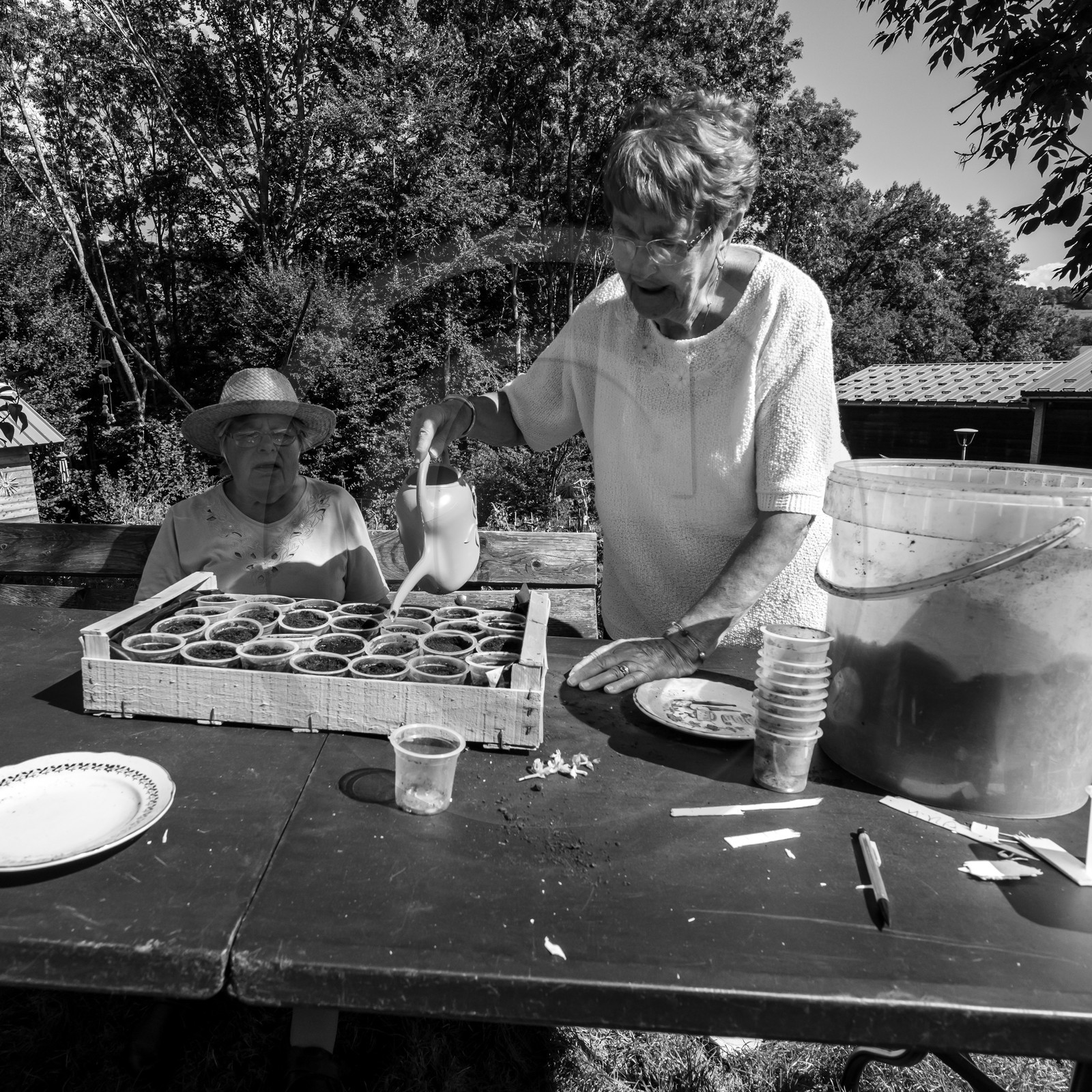 Activités au jardin Activités au jardin