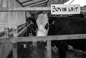 Rencontres paysannes à Saint-Bonnet en Champsaur