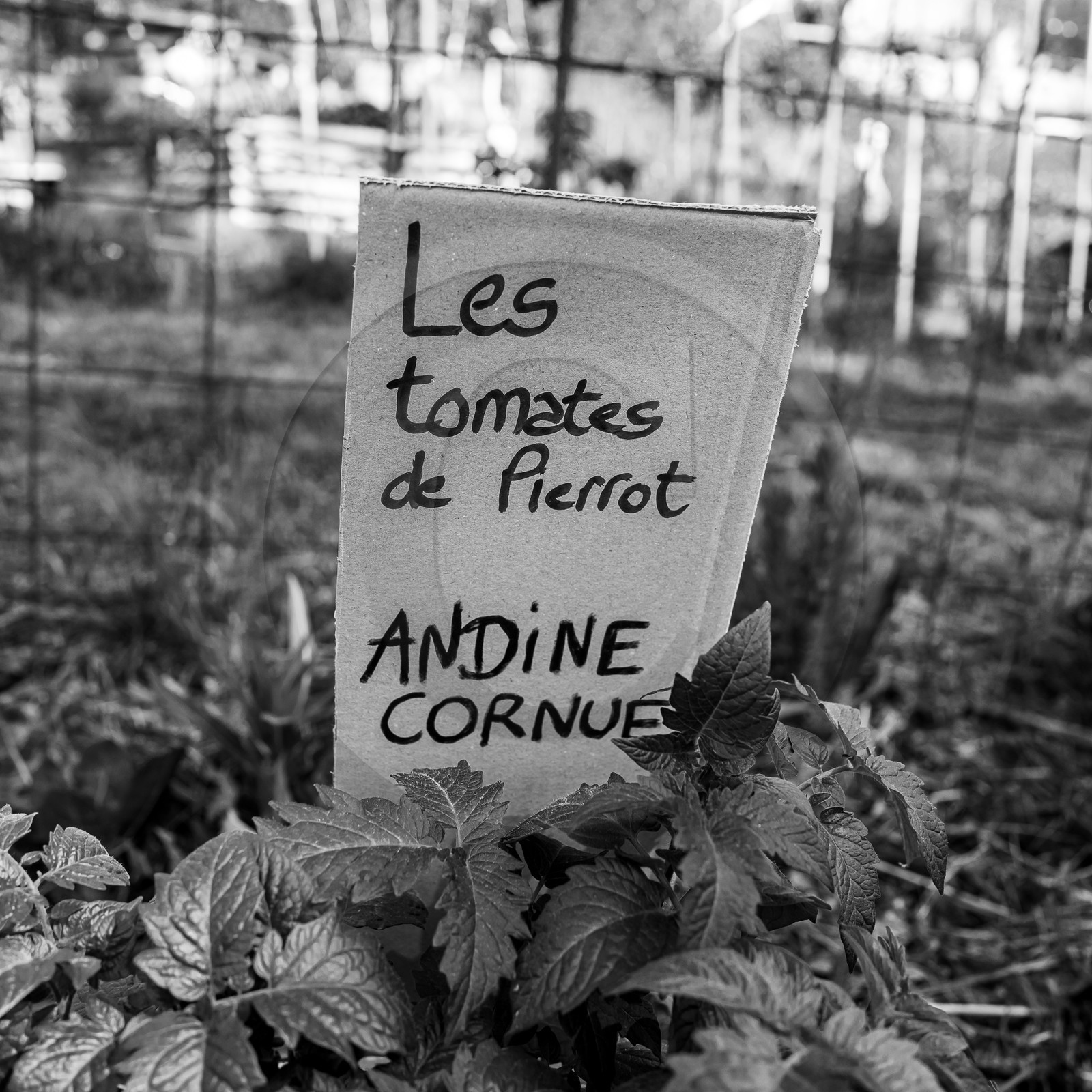 14 mai 2023 : Vide-Jardin 14 mai 2023 : Vide-Jardin