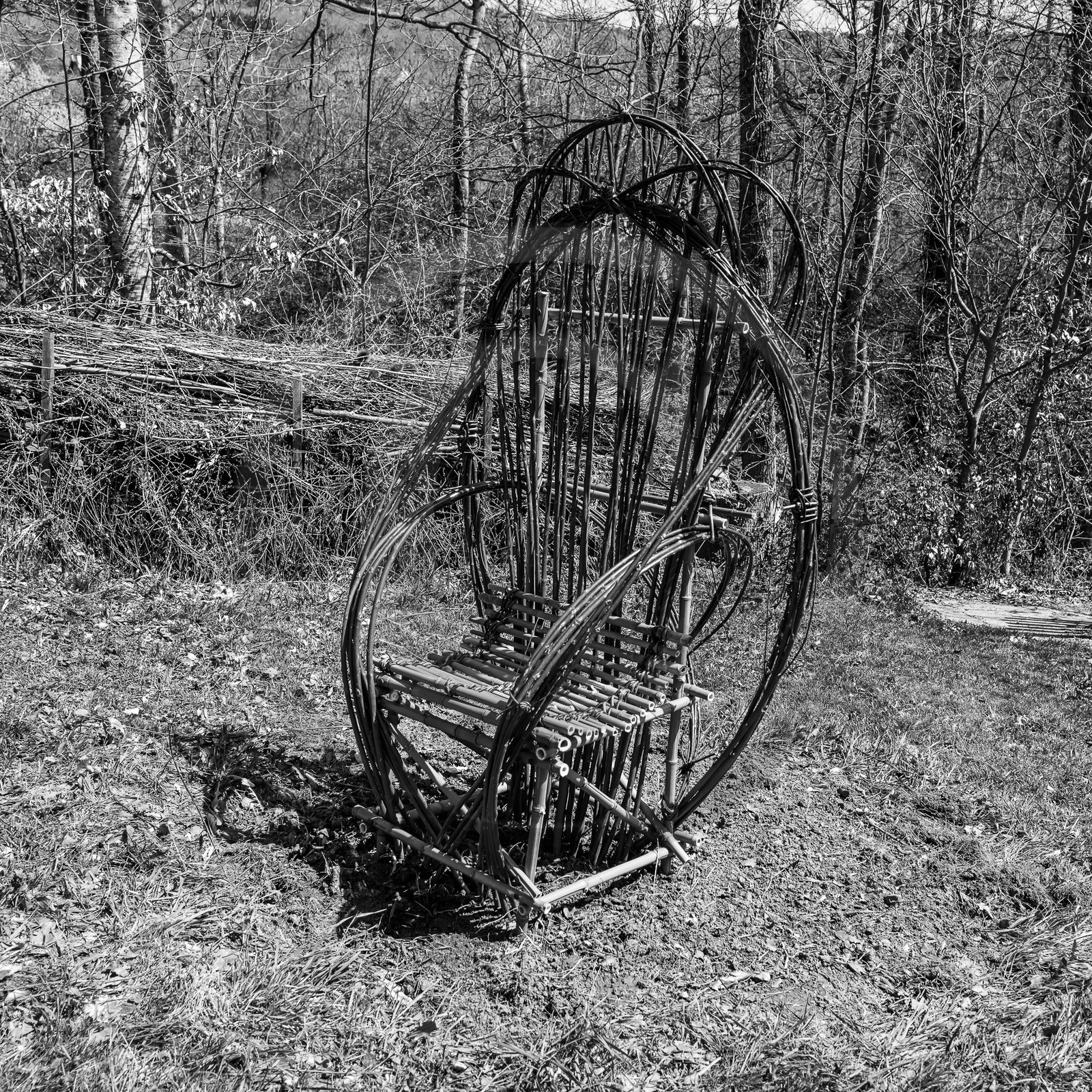 10 avril 2024 : Osier, laine et taille