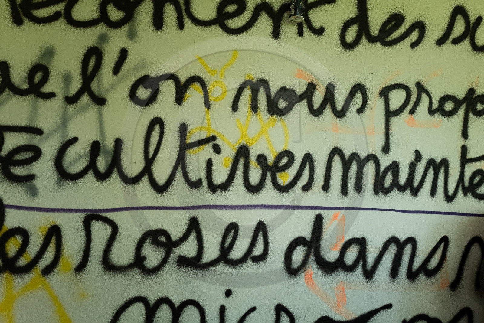 La Piscine de St Léger les Mélèzes